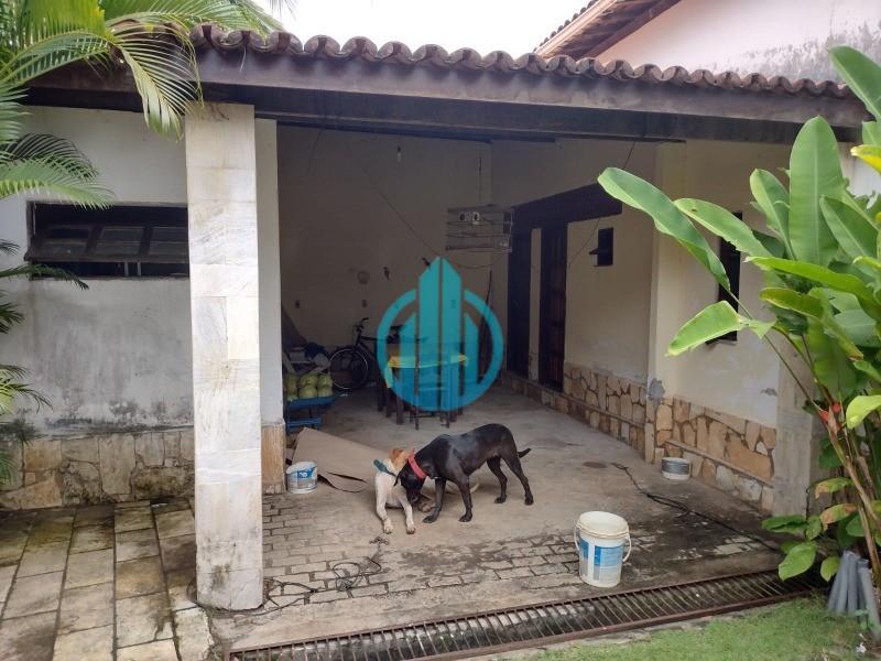 Foto 01