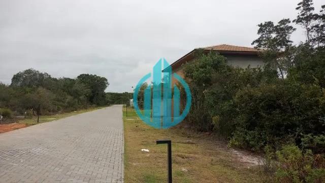Foto 06