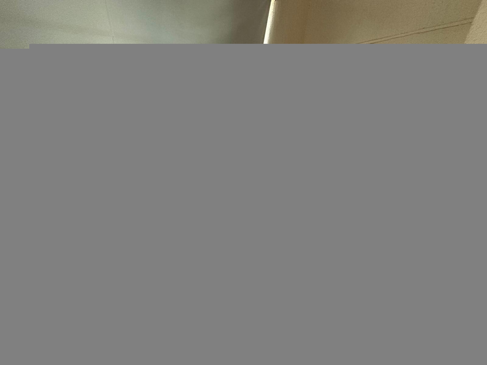 Foto 01