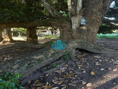 Terreno para Venda, em Seabra, bairro Arthur Alves