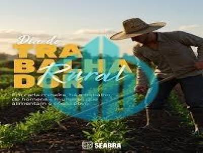 Terreno para Venda, em Seabra, bairro Seabra