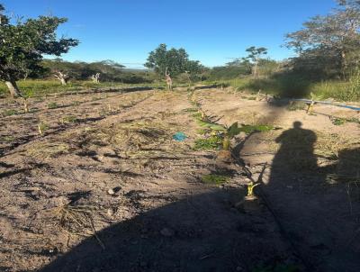 Fazenda para Venda, em Seabra, bairro Seabra