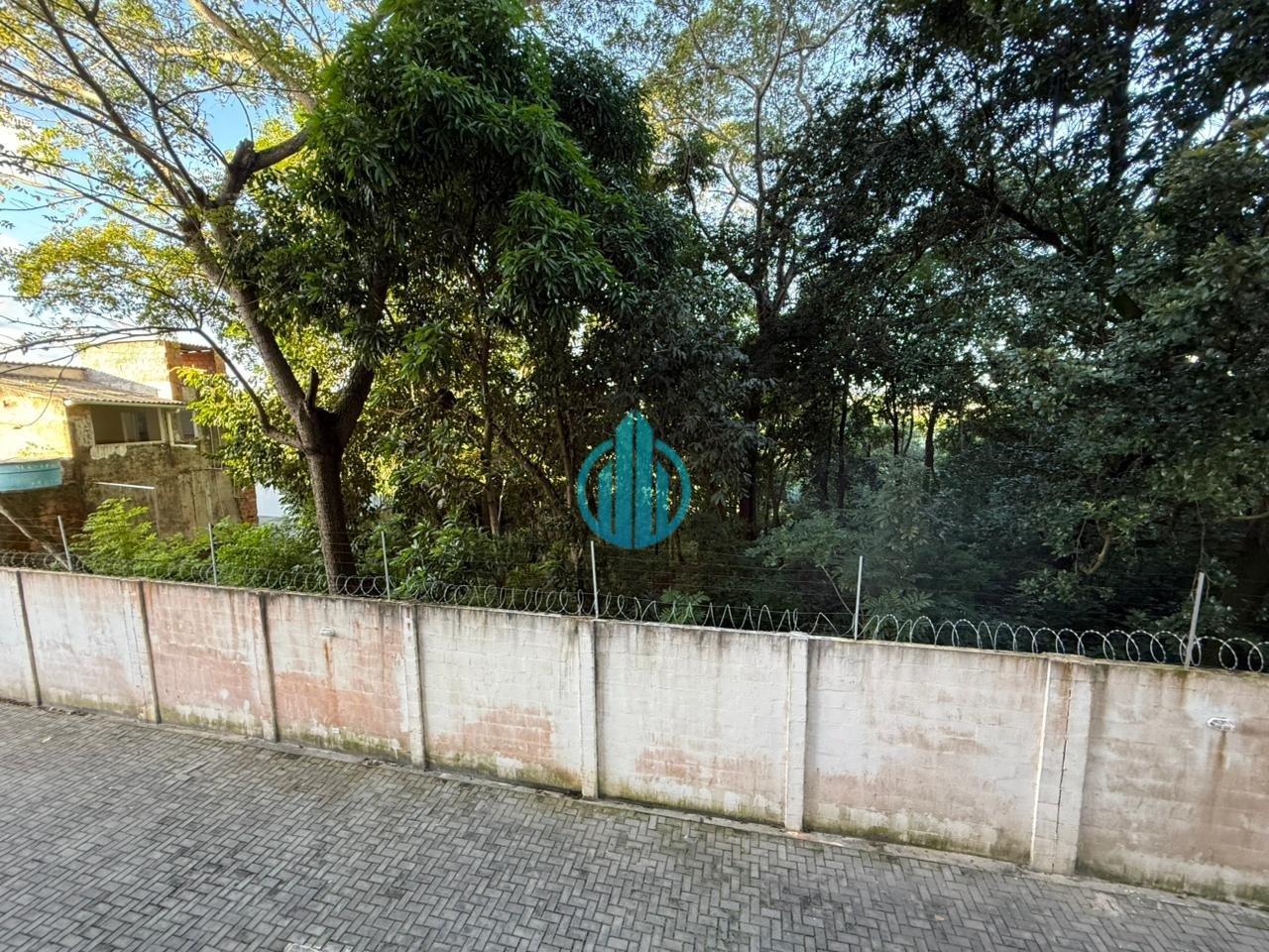 Foto 01