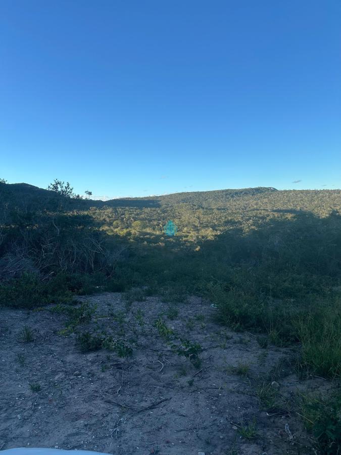 Foto 01