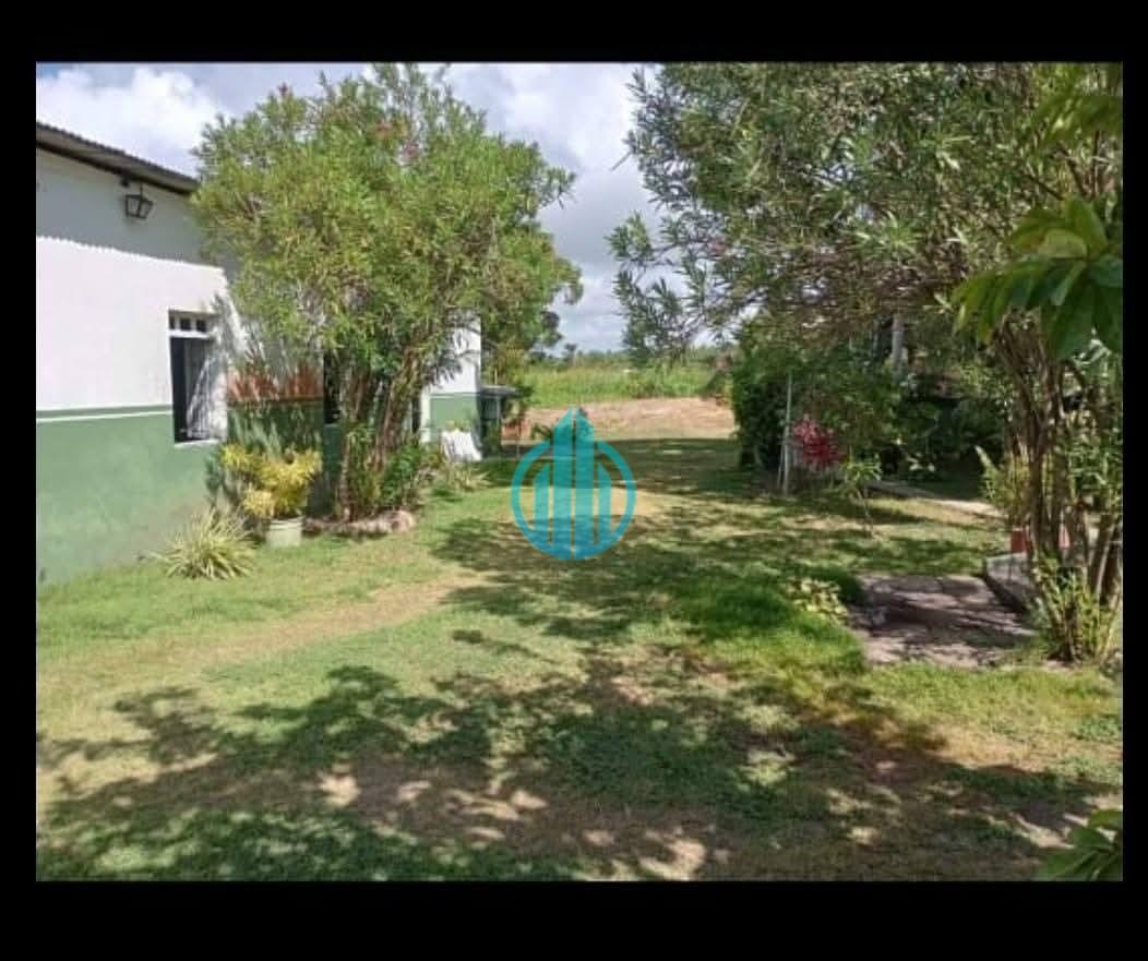 Foto 02