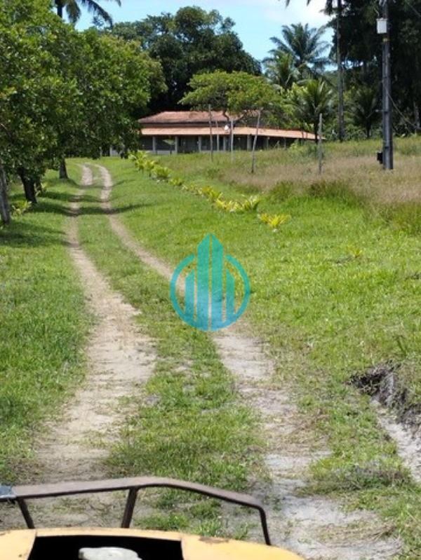 Foto 02