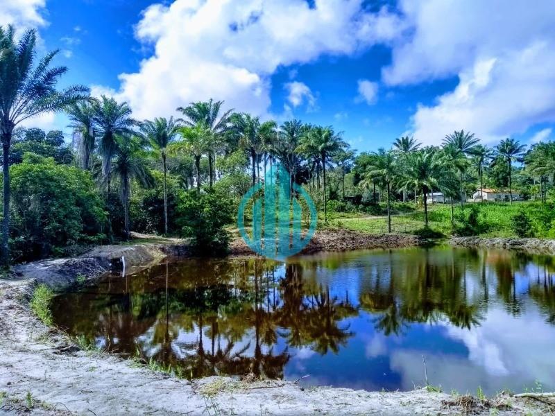 Foto 27