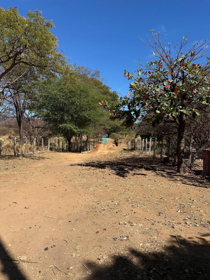 Foto 01